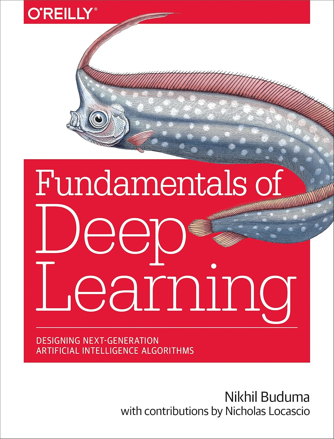 Fundamentals of Deep Learning