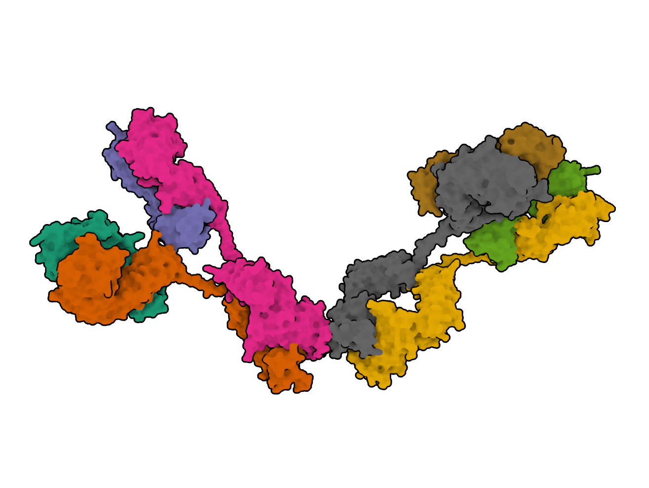 Atomistic scattering modelling of the solution structure of human dimeric IgA1 reveals a structural and mechanistic basis for IgA nephropathy