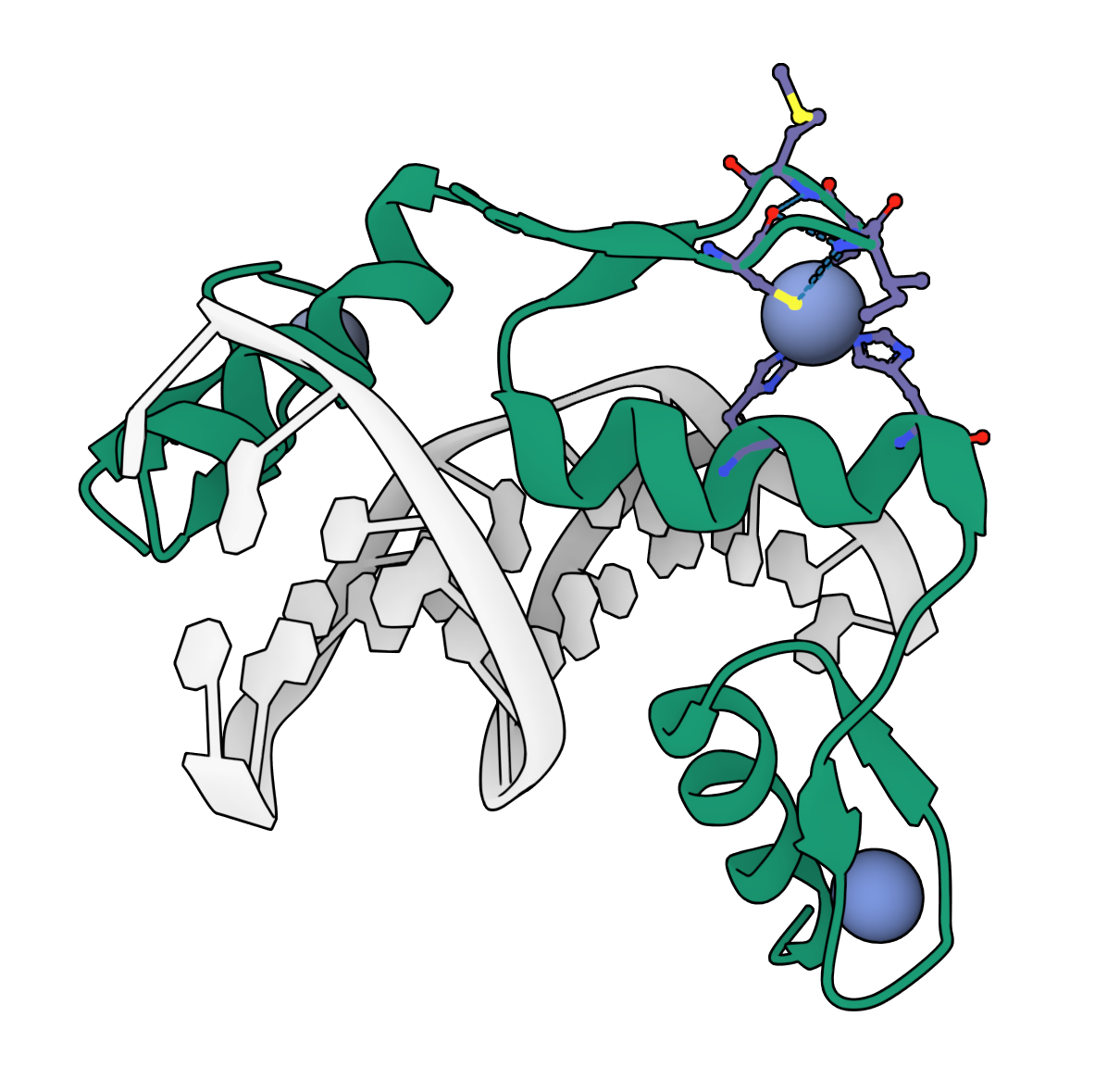 ZincBind - The Database of Zinc Binding Sites